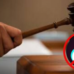 Reasons to Ban TikTok in Nepal Is this a Feasible and Logical Solution