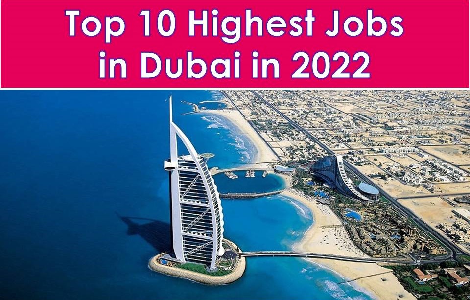 Top 10 Highest Paid Jobs in Dubai in 2022 2