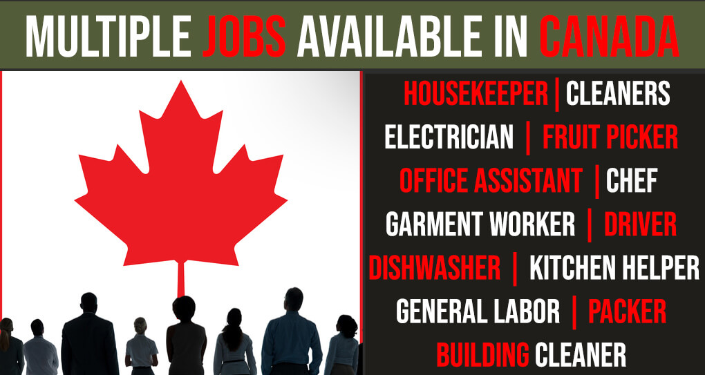 1000+ Jobs Available in Canada for Foreign Workers in 2022 22